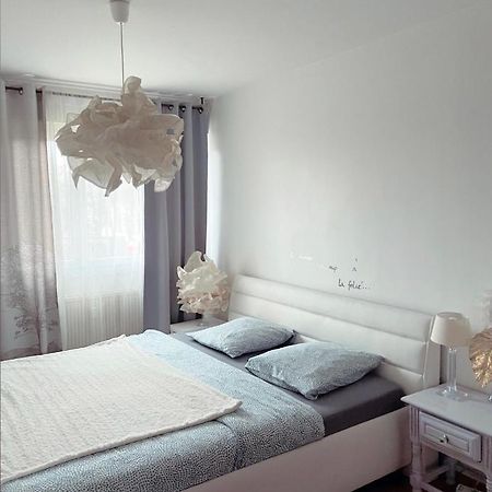 Bel Appartement Near Bale Mulhouse Airport Saint-Louis  Kültér fotó