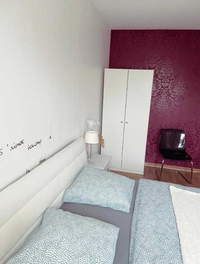 Bel Appartement Near Bale Mulhouse Airport Saint-Louis  Kültér fotó