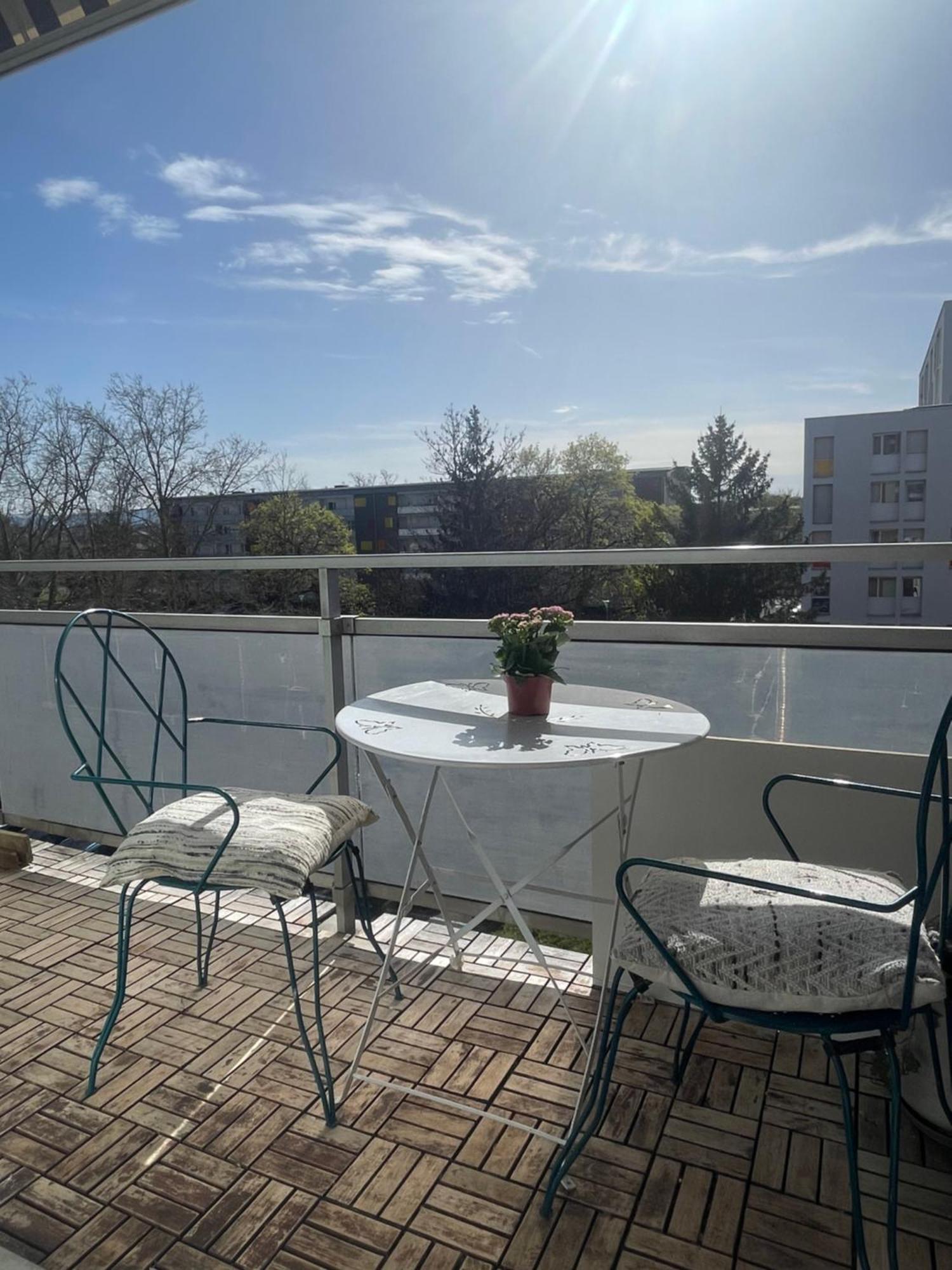Bel Appartement Near Bale Mulhouse Airport Saint-Louis  Kültér fotó