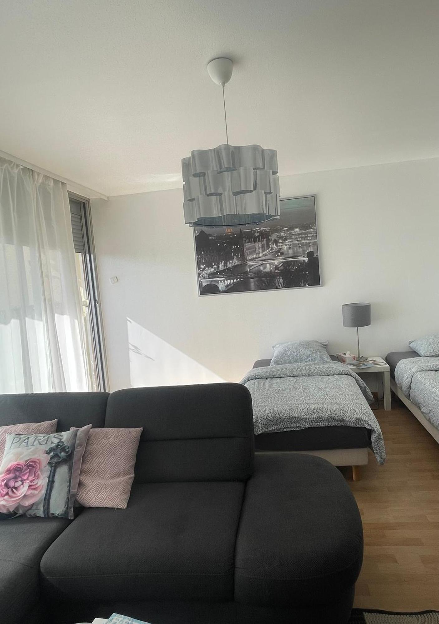 Bel Appartement Near Bale Mulhouse Airport Saint-Louis  Kültér fotó