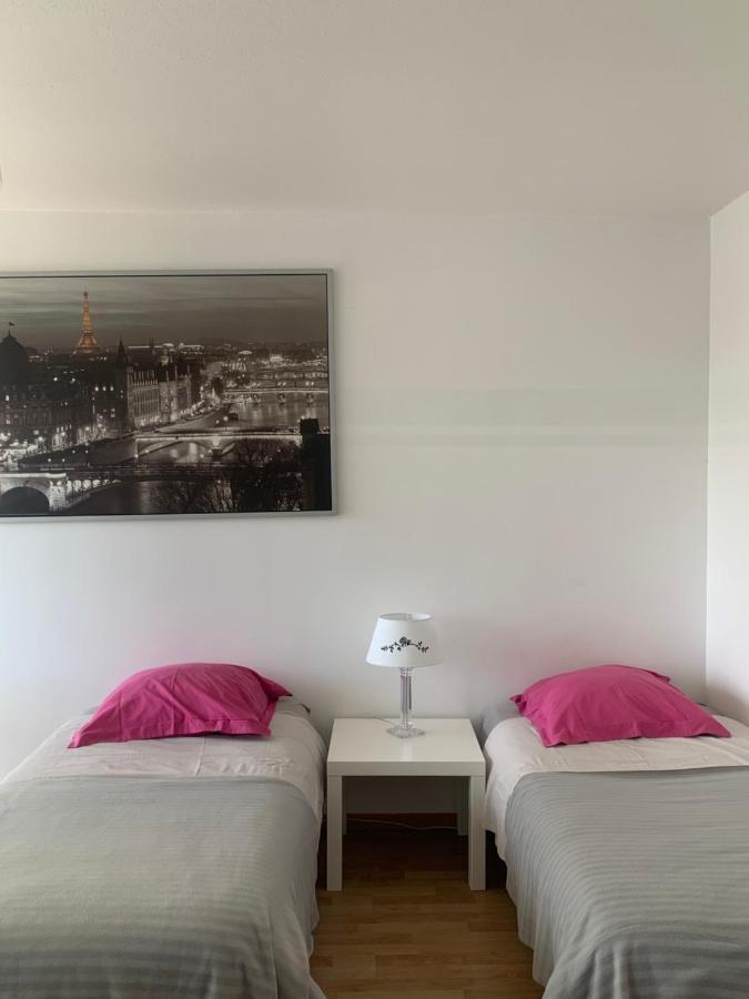 Bel Appartement Near Bale Mulhouse Airport Saint-Louis  Kültér fotó