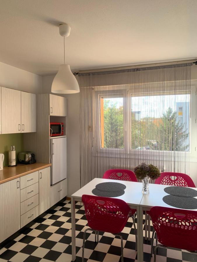 Bel Appartement Near Bale Mulhouse Airport Saint-Louis  Kültér fotó